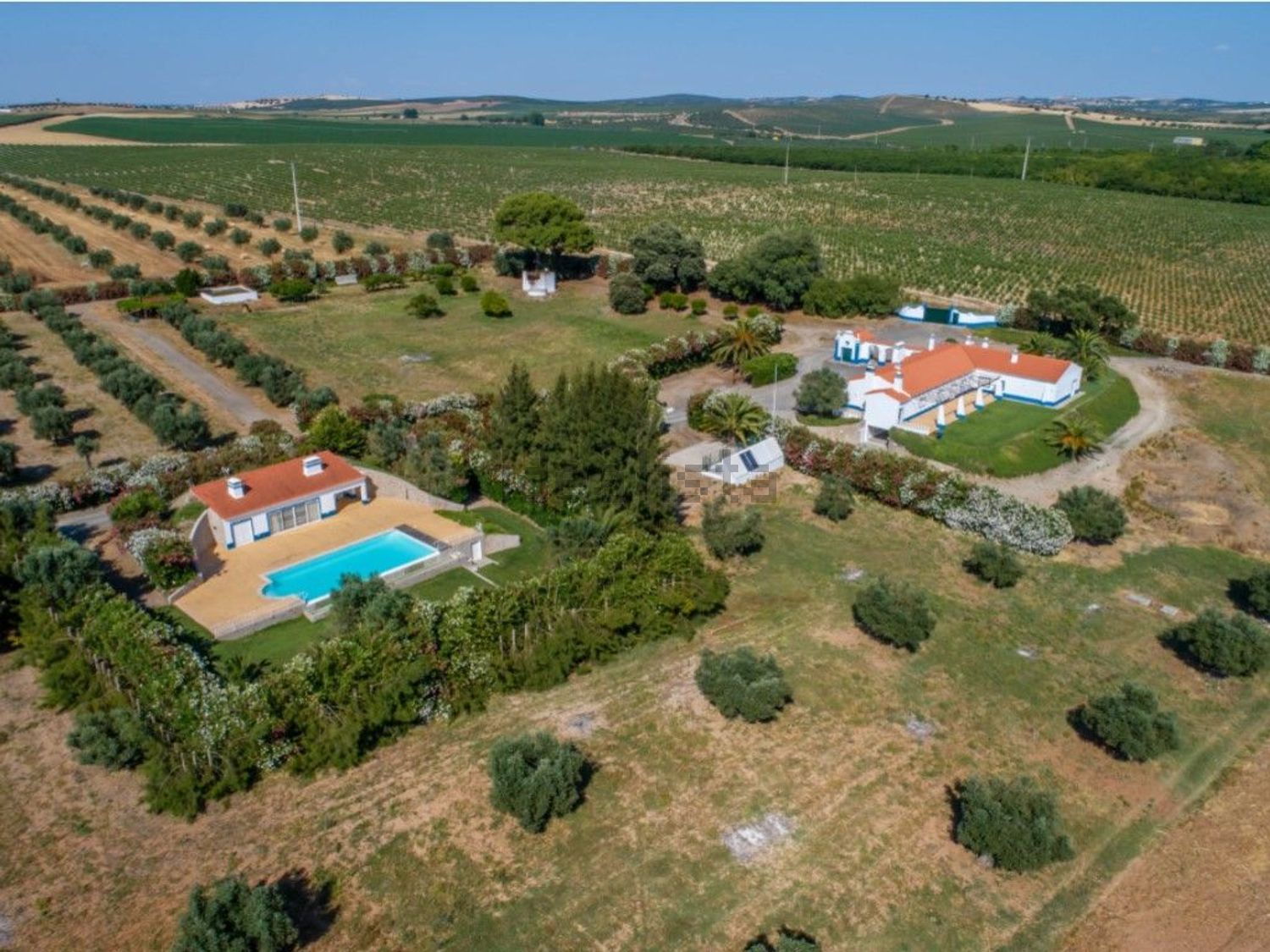 庄园出售在Ferreira do Alentejo - 照片