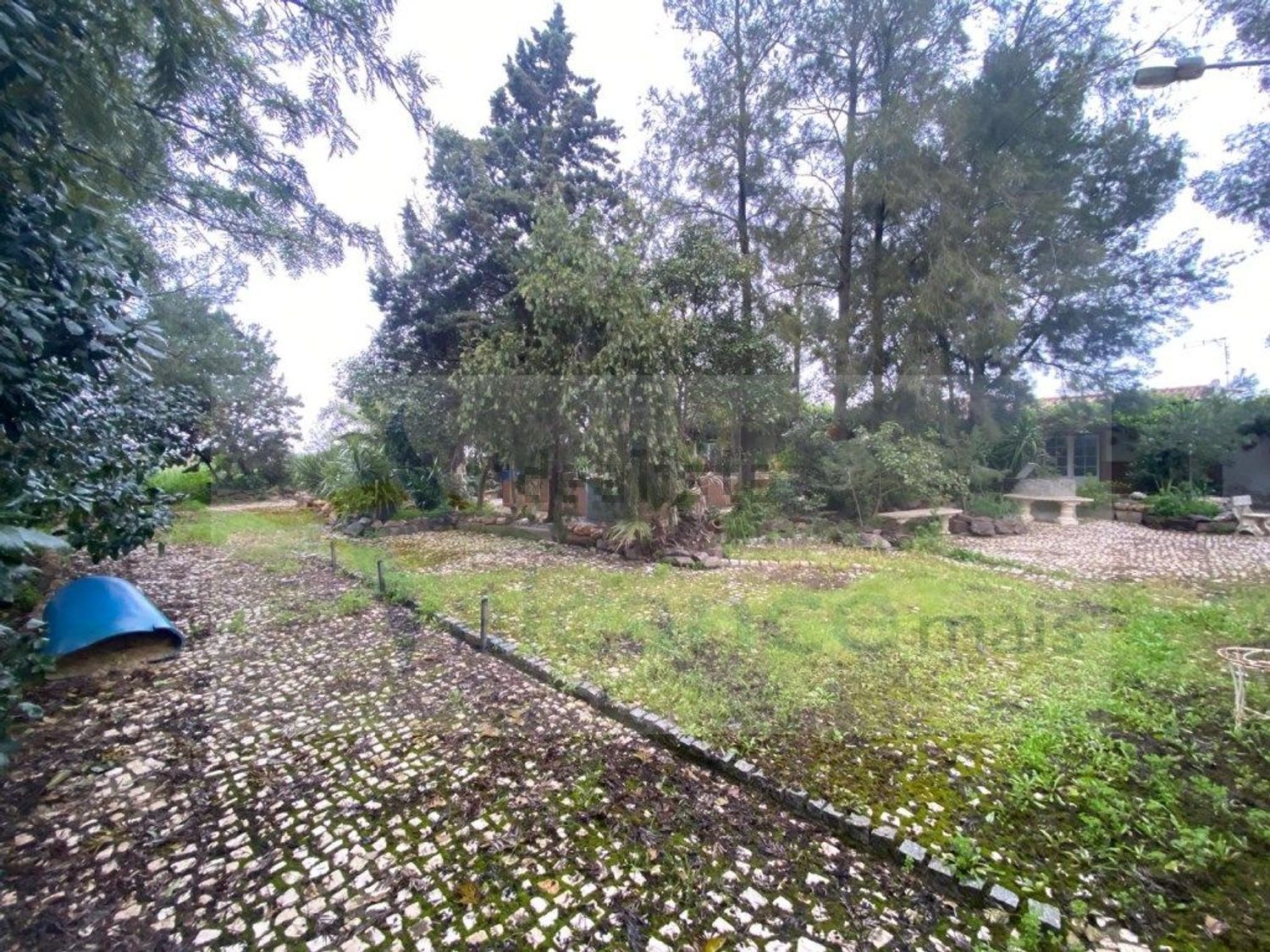 庄园出售Bc. do Carril - 花园