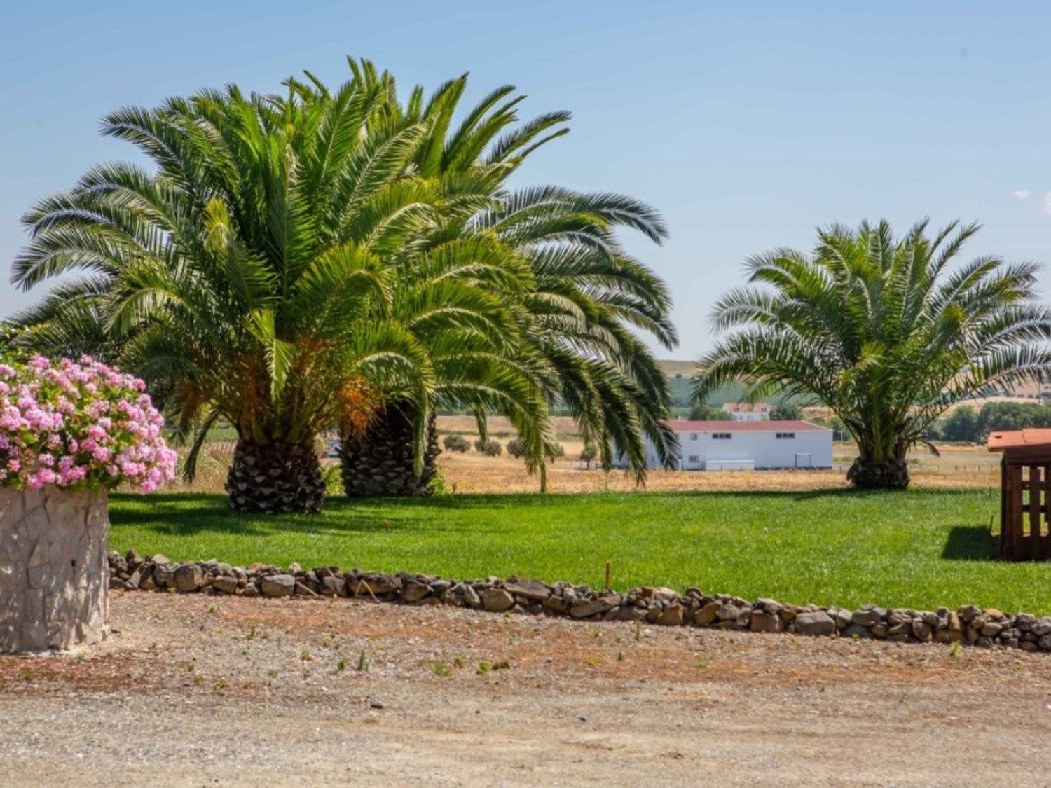 庄园出售在Ferreira do Alentejo - 花园