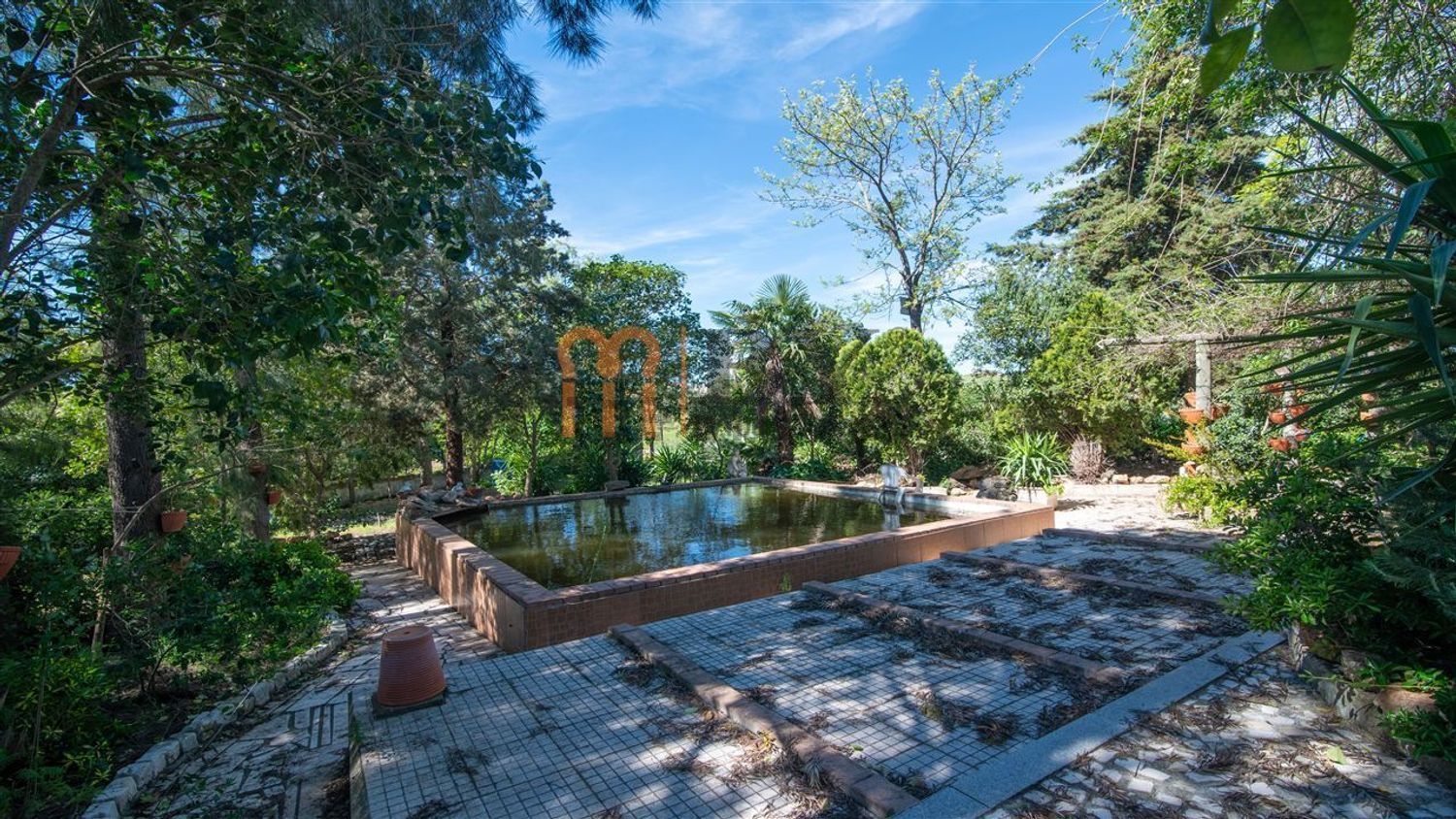 阿连特茹山出售Vila Verde de Ficalho - 游泳池