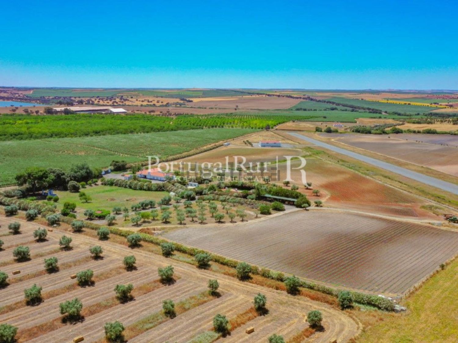 农庄出售在Ferreira do Alentejo - 视线