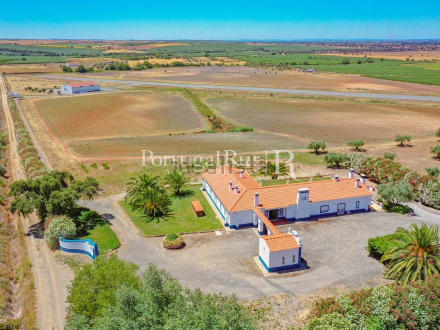 农庄出售在Ferreira do Alentejo - 照片