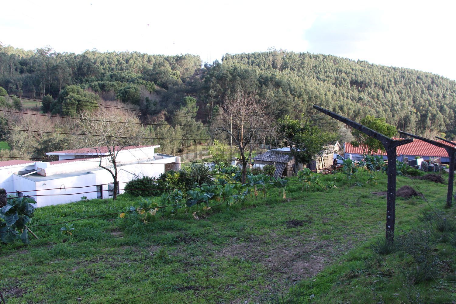 小楼房或独栋别墅出售Trav. do Castelo s/n - 视线