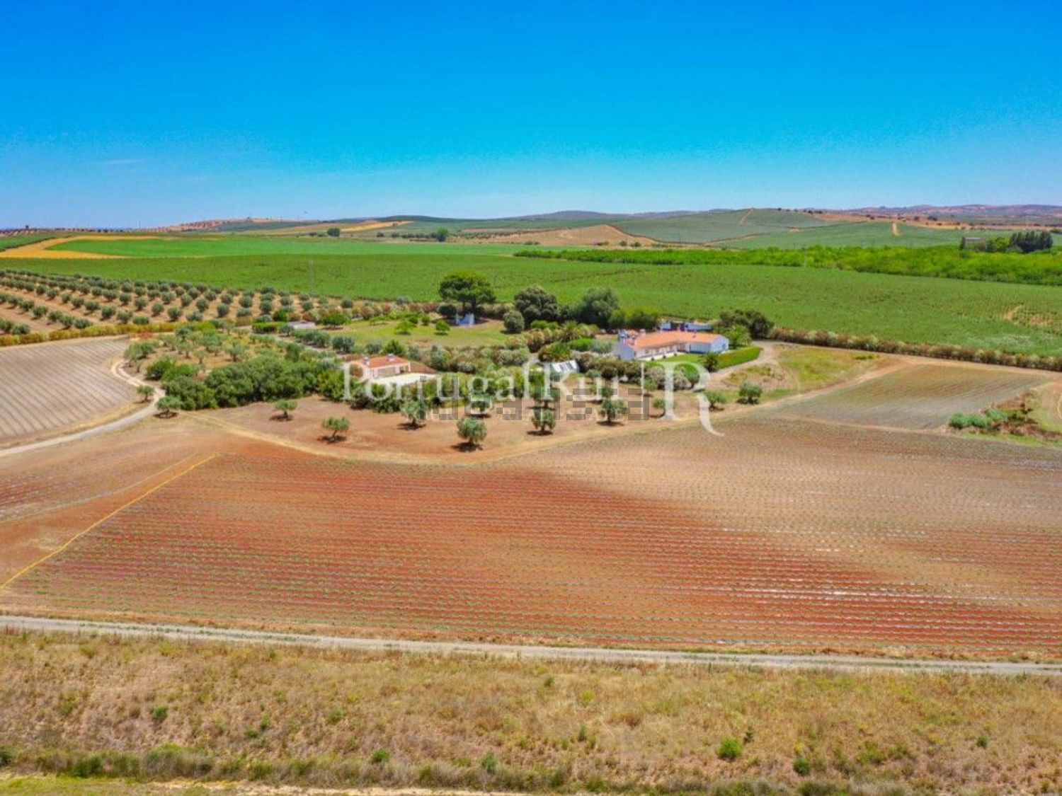 农庄出售在Ferreira do Alentejo - 照片