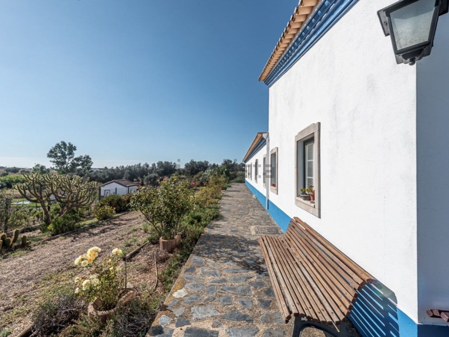 庄园出售在Ferreira do Alentejo - 外立面