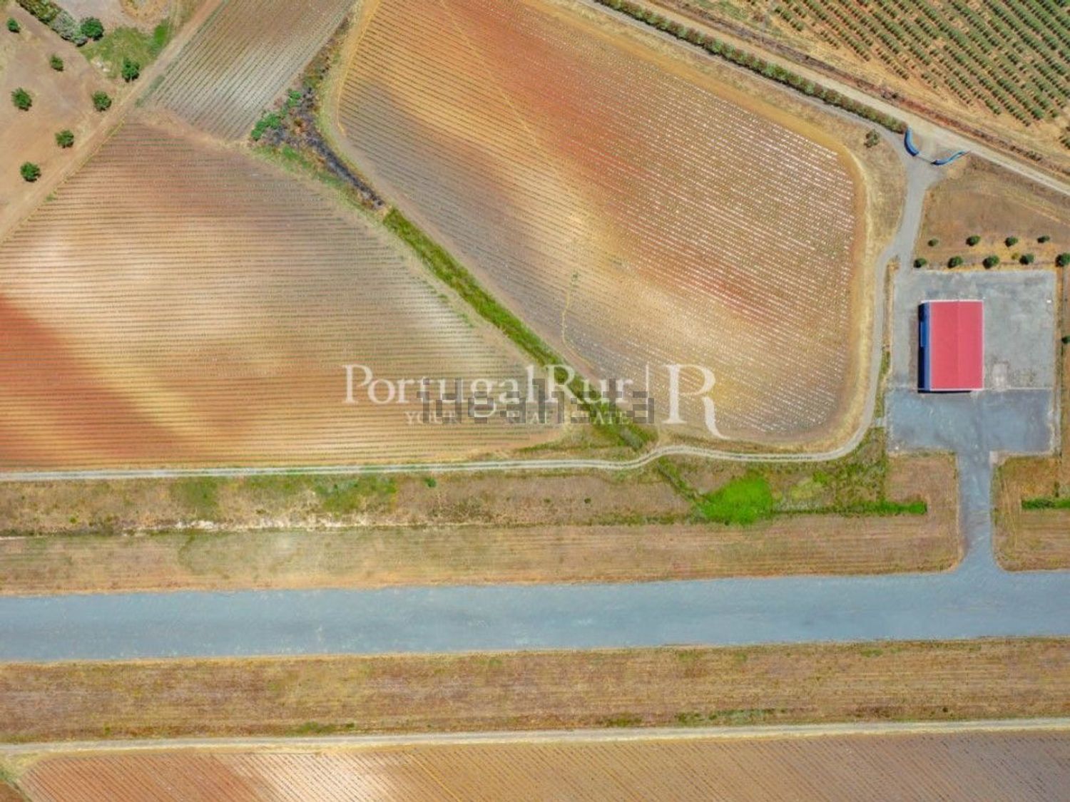 农庄出售在Ferreira do Alentejo - 照片