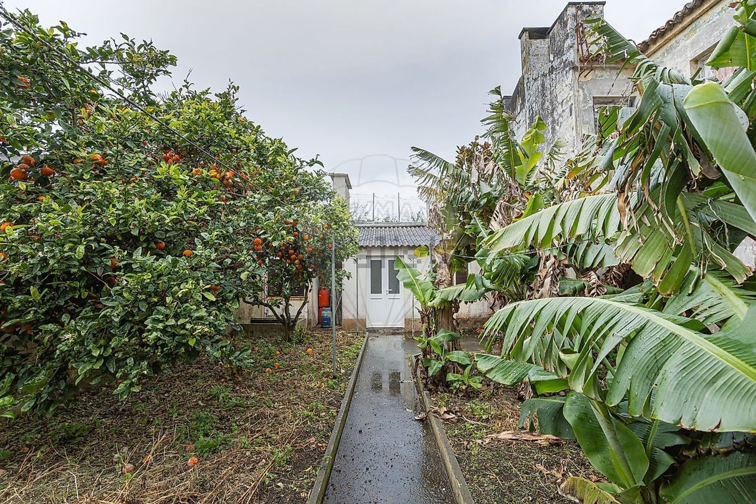 小楼房或独栋别墅出售在Rua da Boa Nova - 花园