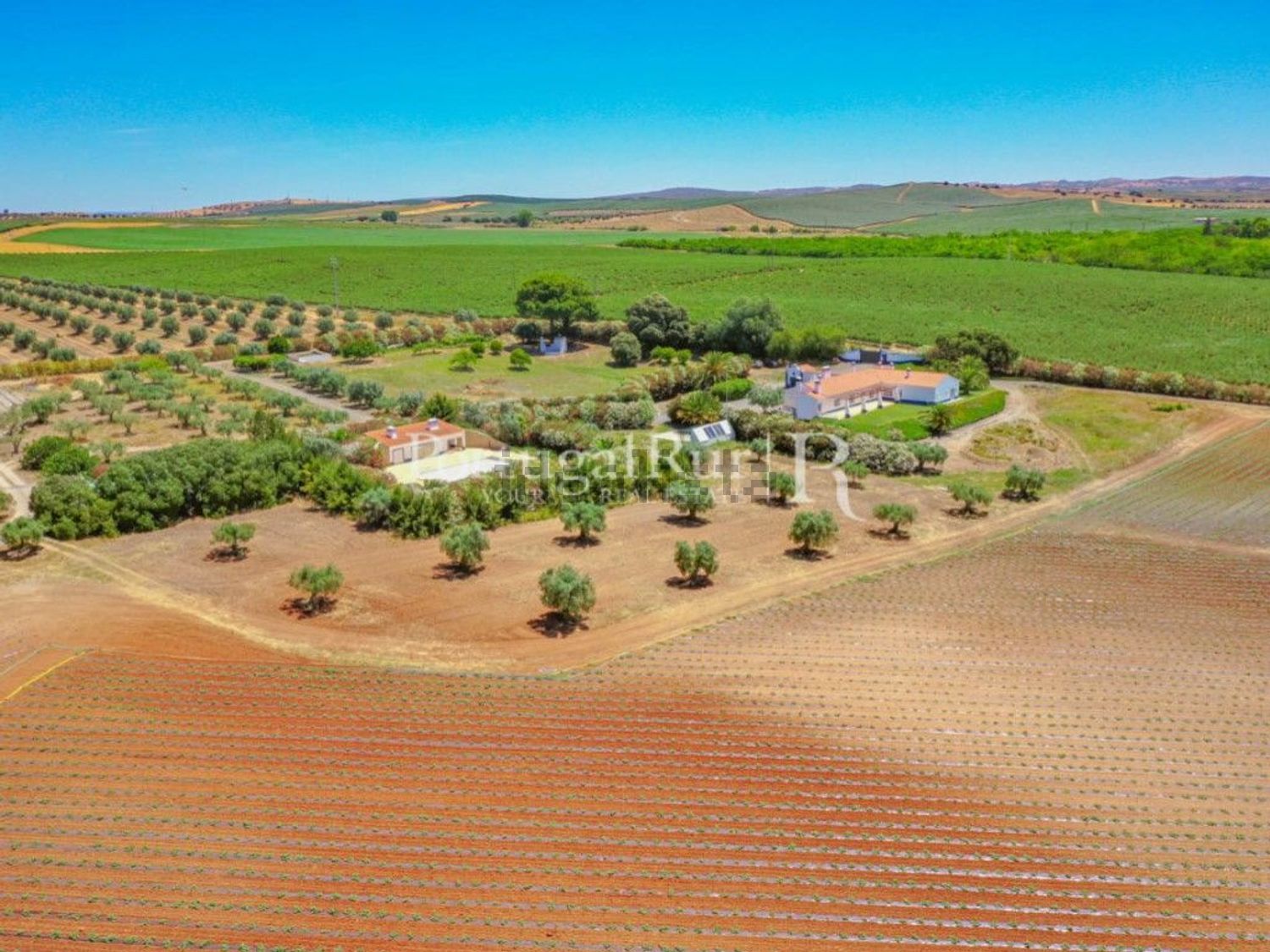 农庄出售在Ferreira do Alentejo - 照片