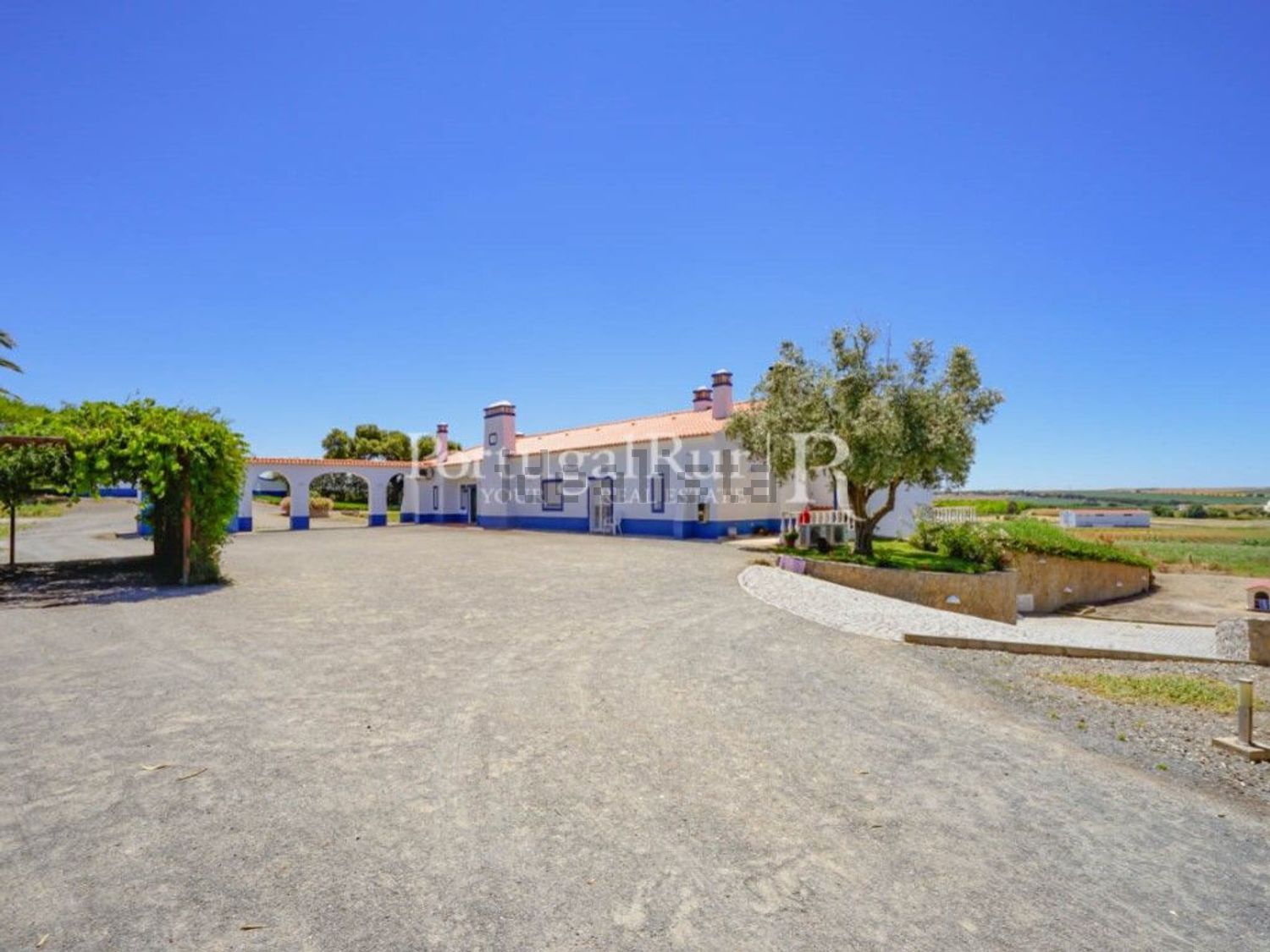 农庄出售在Ferreira do Alentejo - 照片