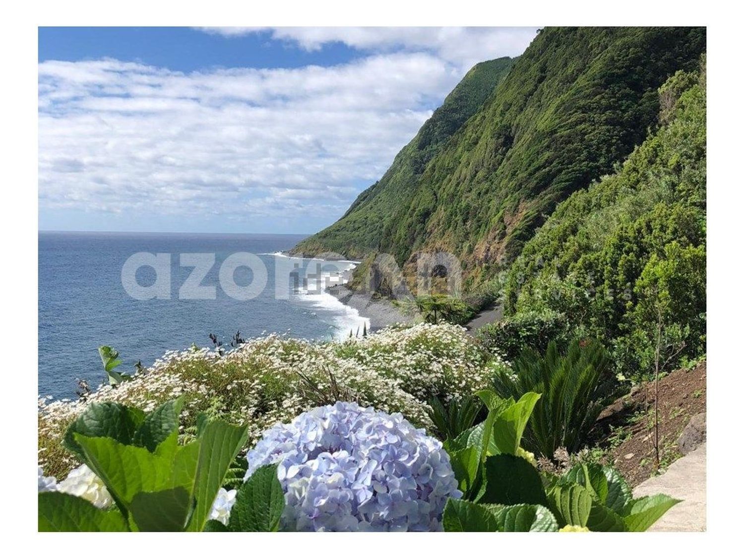 小楼房或独栋别墅出售在Nordeste - 视线