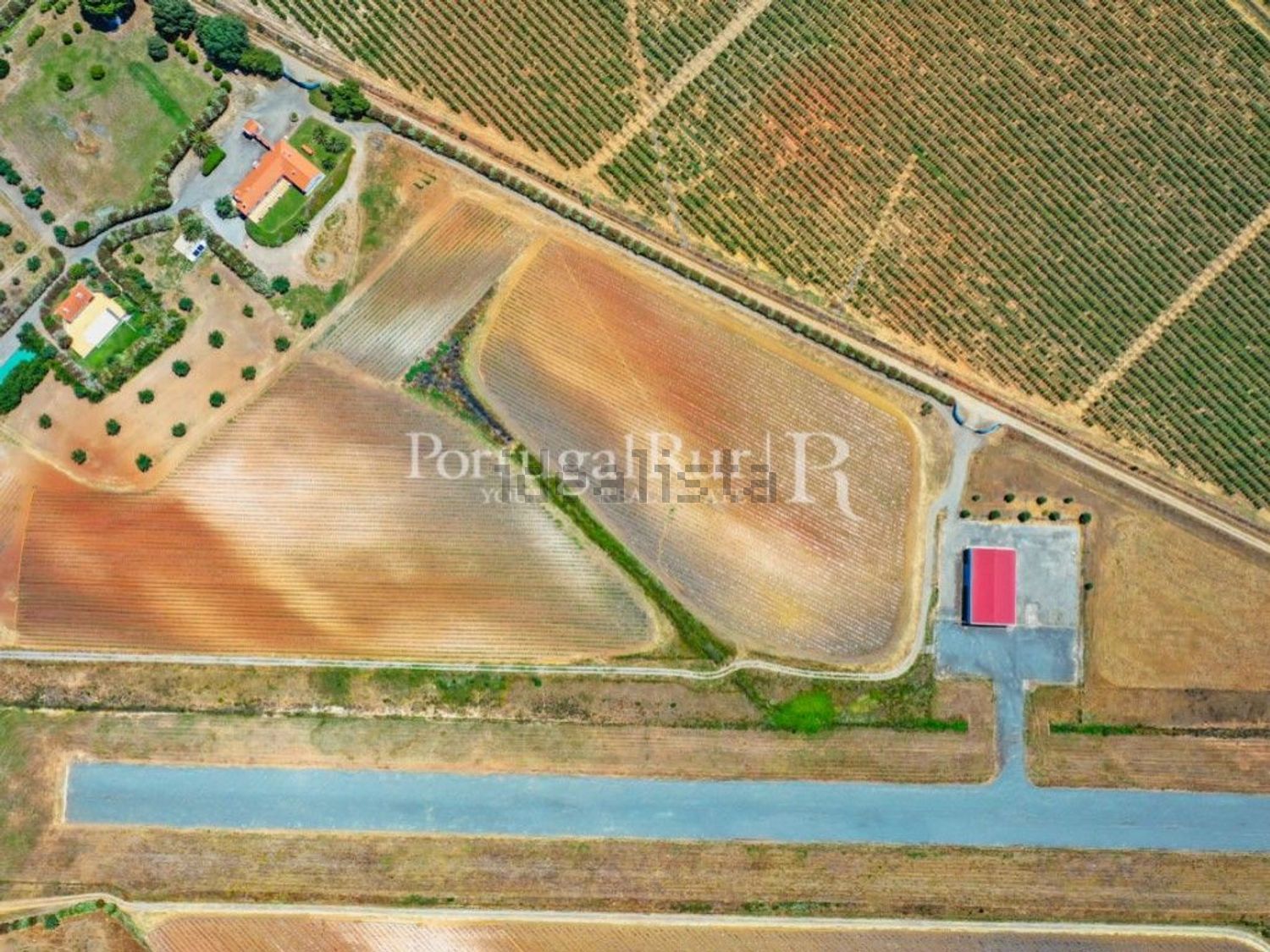 农庄出售在Ferreira do Alentejo - 照片