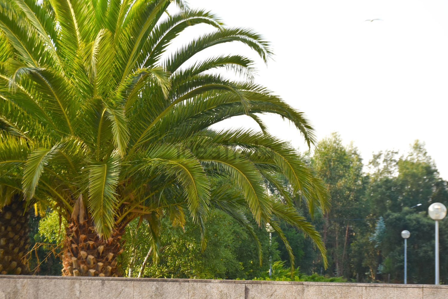 出租房间在Rua das Cavadas, 178 - 花园