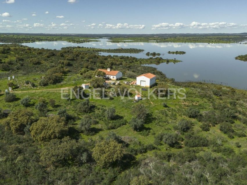 农庄出售在Caminho dos Albardeiros