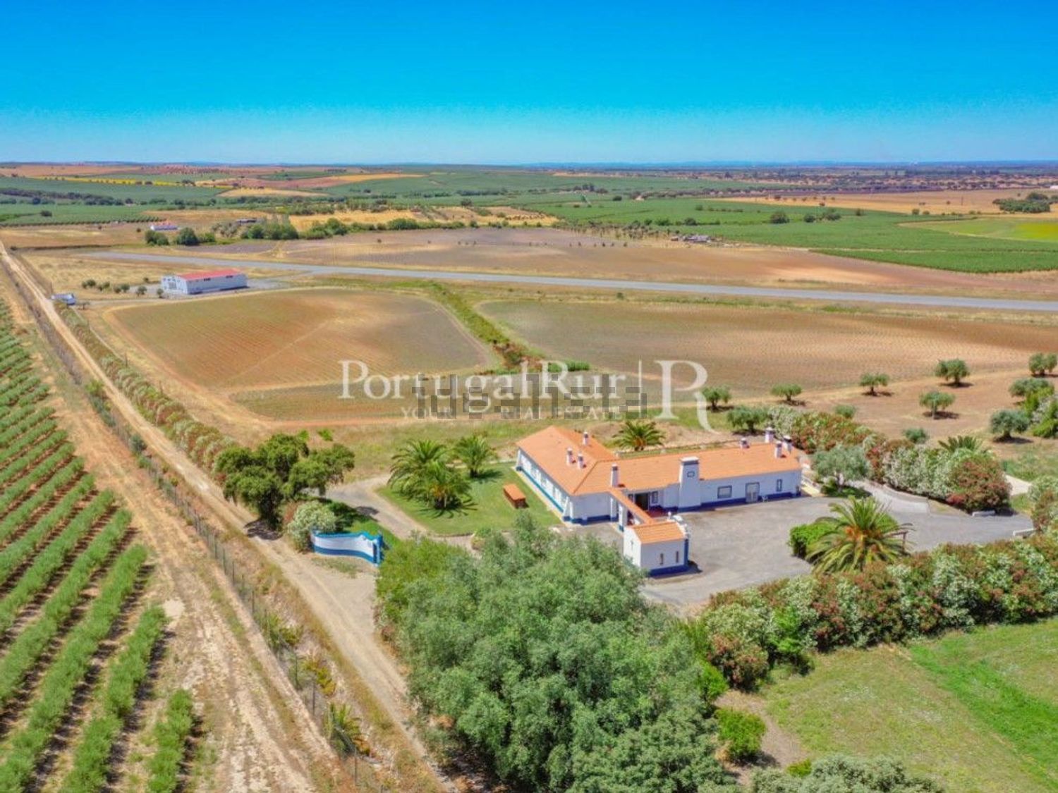农庄出售在Ferreira do Alentejo - 视线