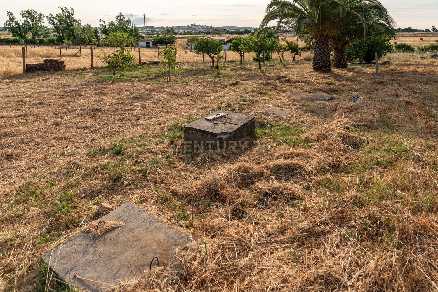 农庄出售在Estrada da Quinta do Evaristo, 92 - 花园