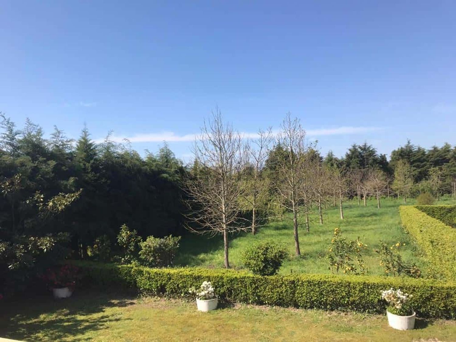 出租房间在Rua das Petigueiras, 1 - 花园