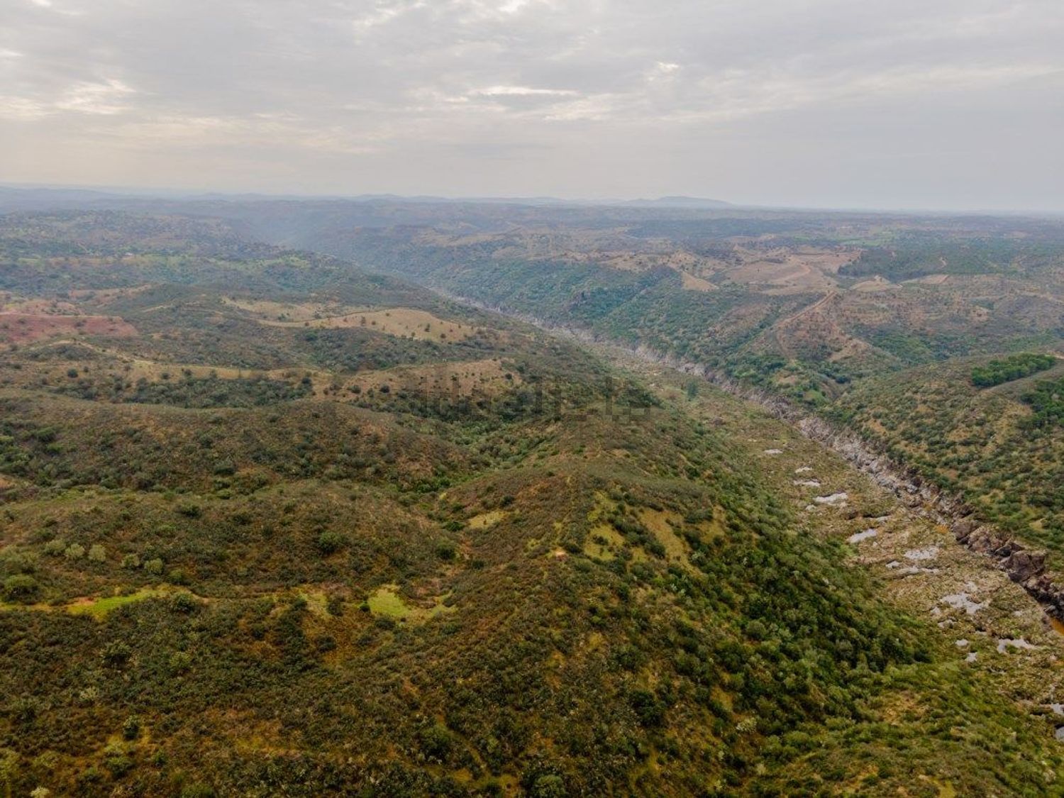 庄园出售在Estrada Sem Nome - 视线