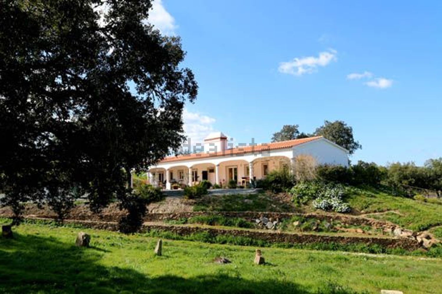 阿连特茹山出售在Estrada Monte Novo da Sobreira s/n - 外立面