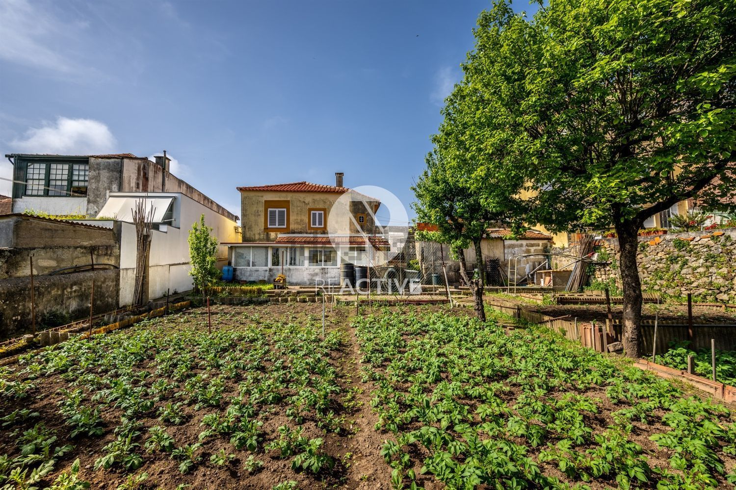 小楼房或独栋别墅出售在Zona Histórica de Matosinhos - 花园