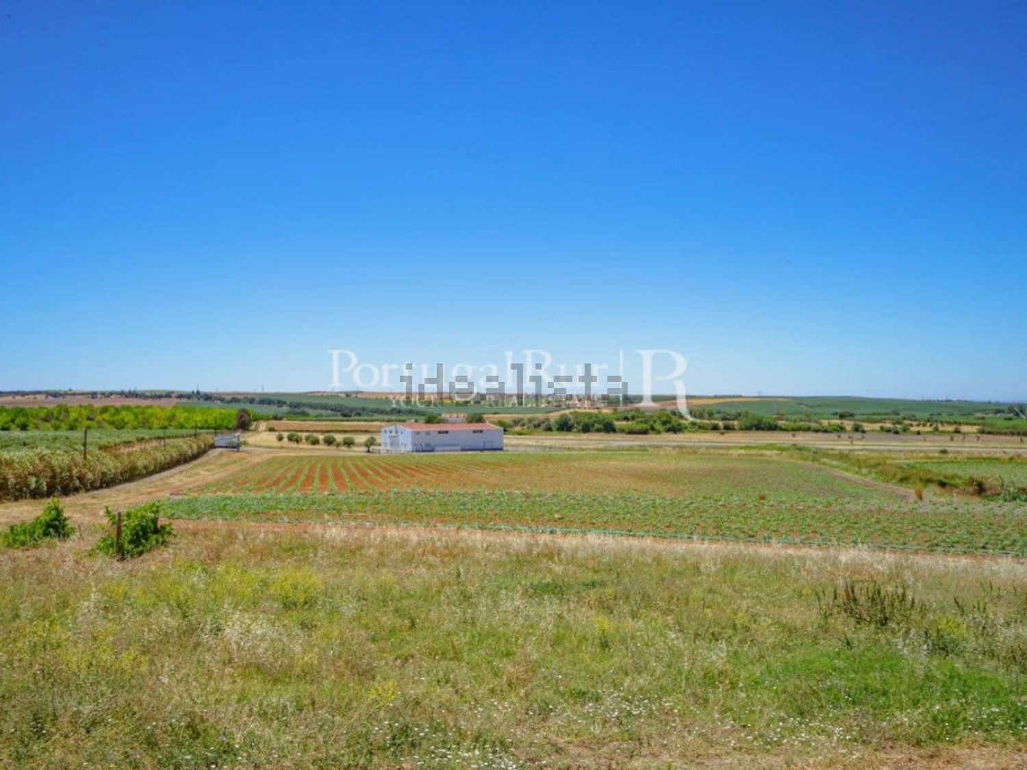 农庄出售在Ferreira do Alentejo - 花园