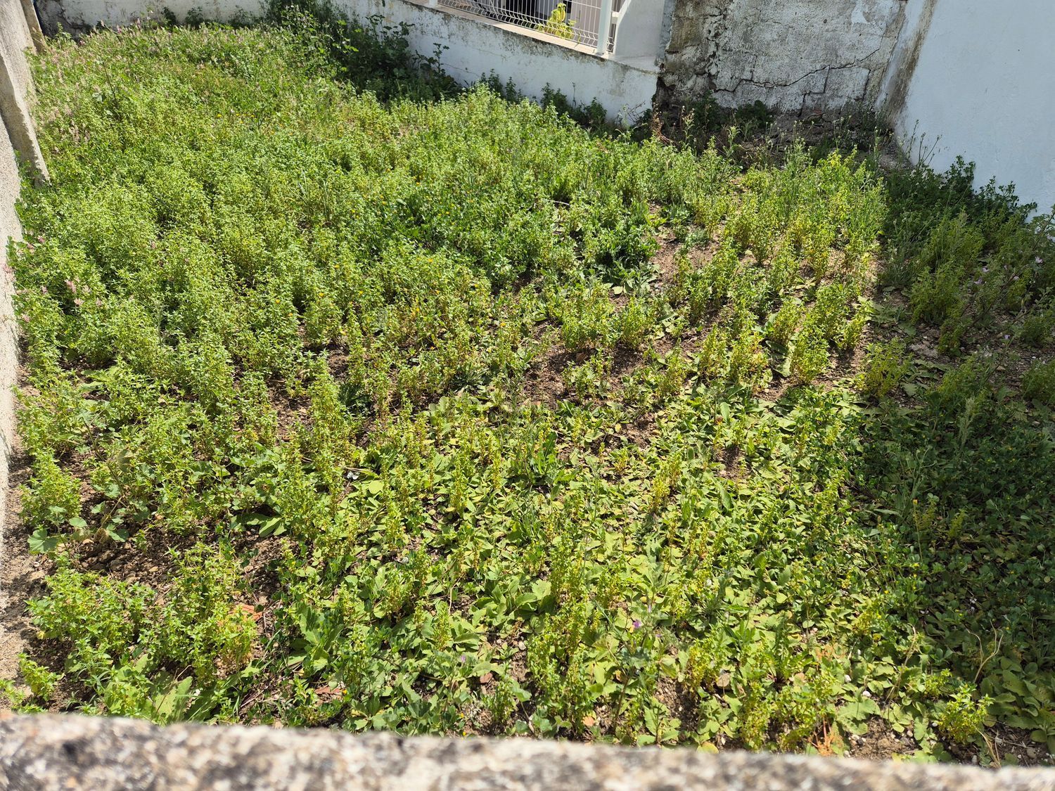 双拼别墅出售在Rua de Diante, 5 - 详情