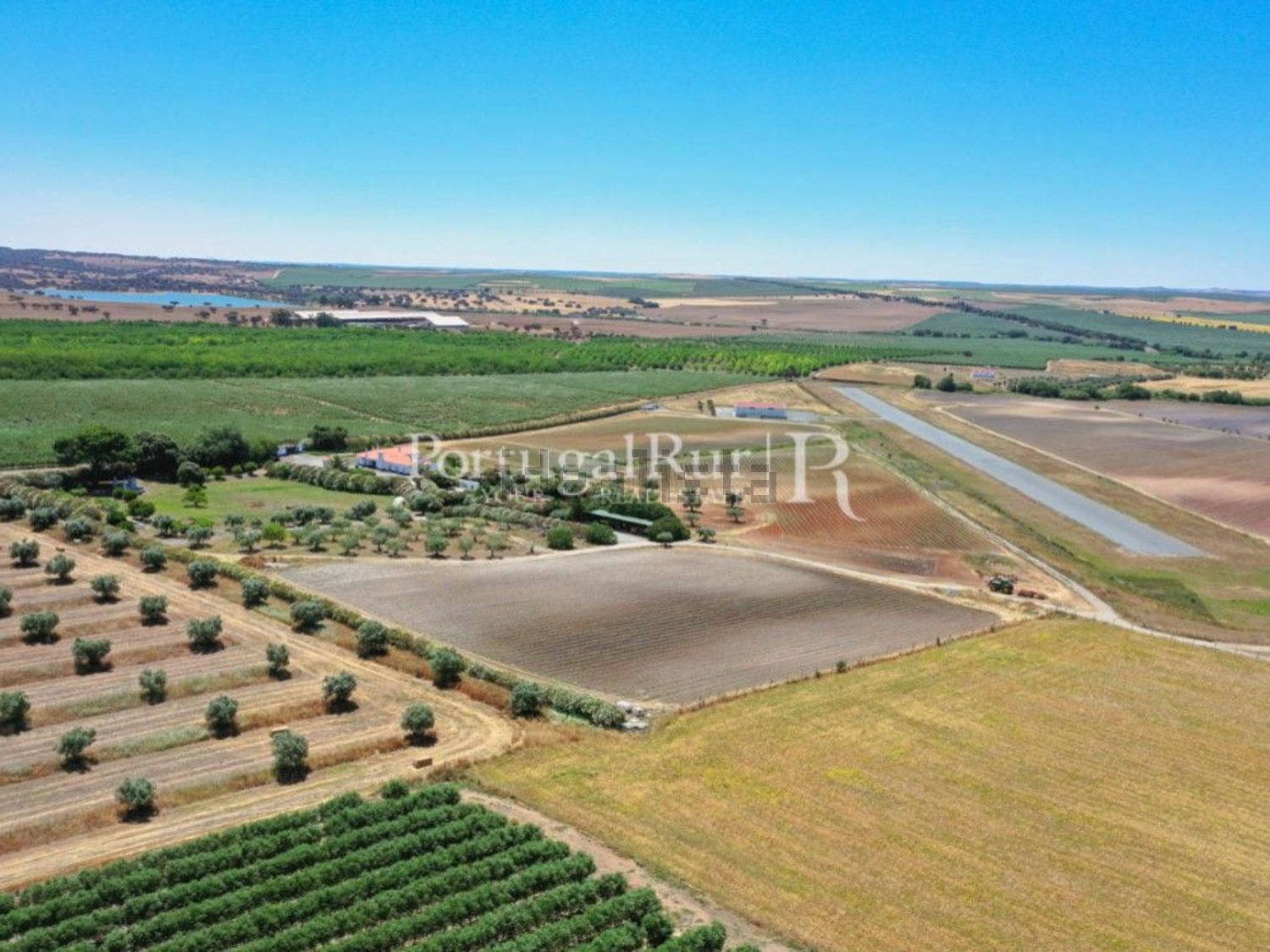 农庄出售在Ferreira do Alentejo - 照片