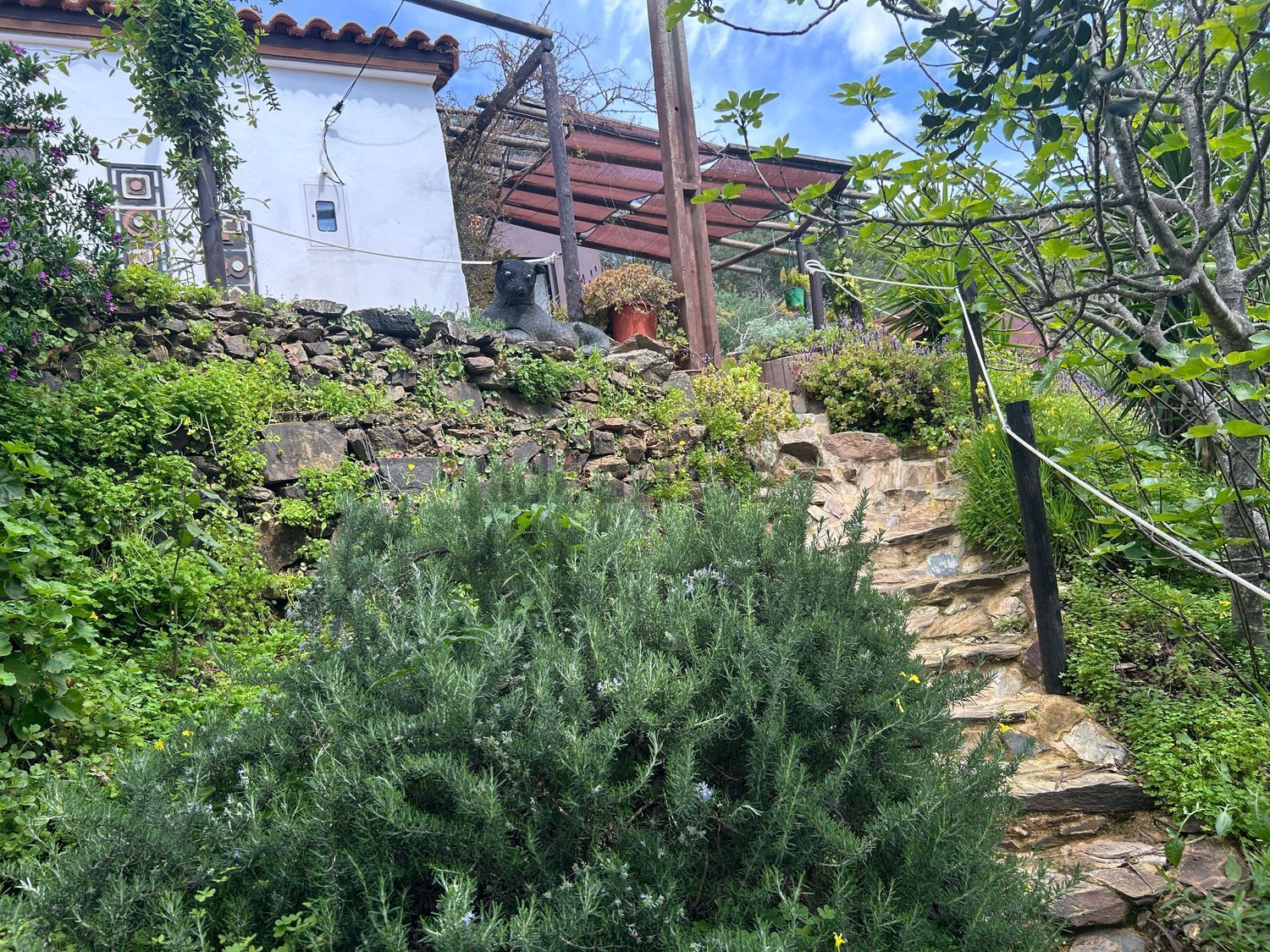 小楼房或独栋别墅出售Malhada do Judeu, 113 -p - 花园