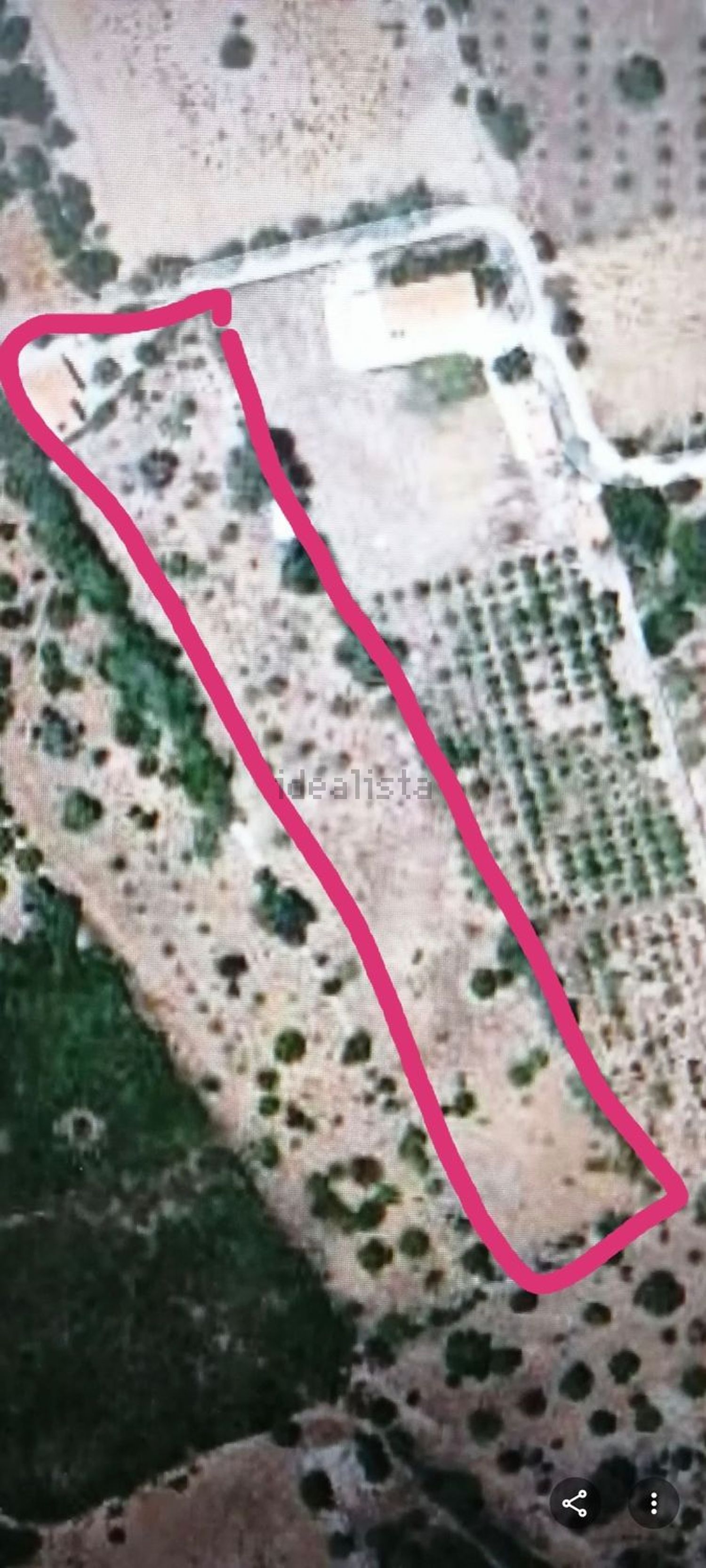 小楼房或独栋别墅出售Sitio de Marrocos, 3 - 花园
