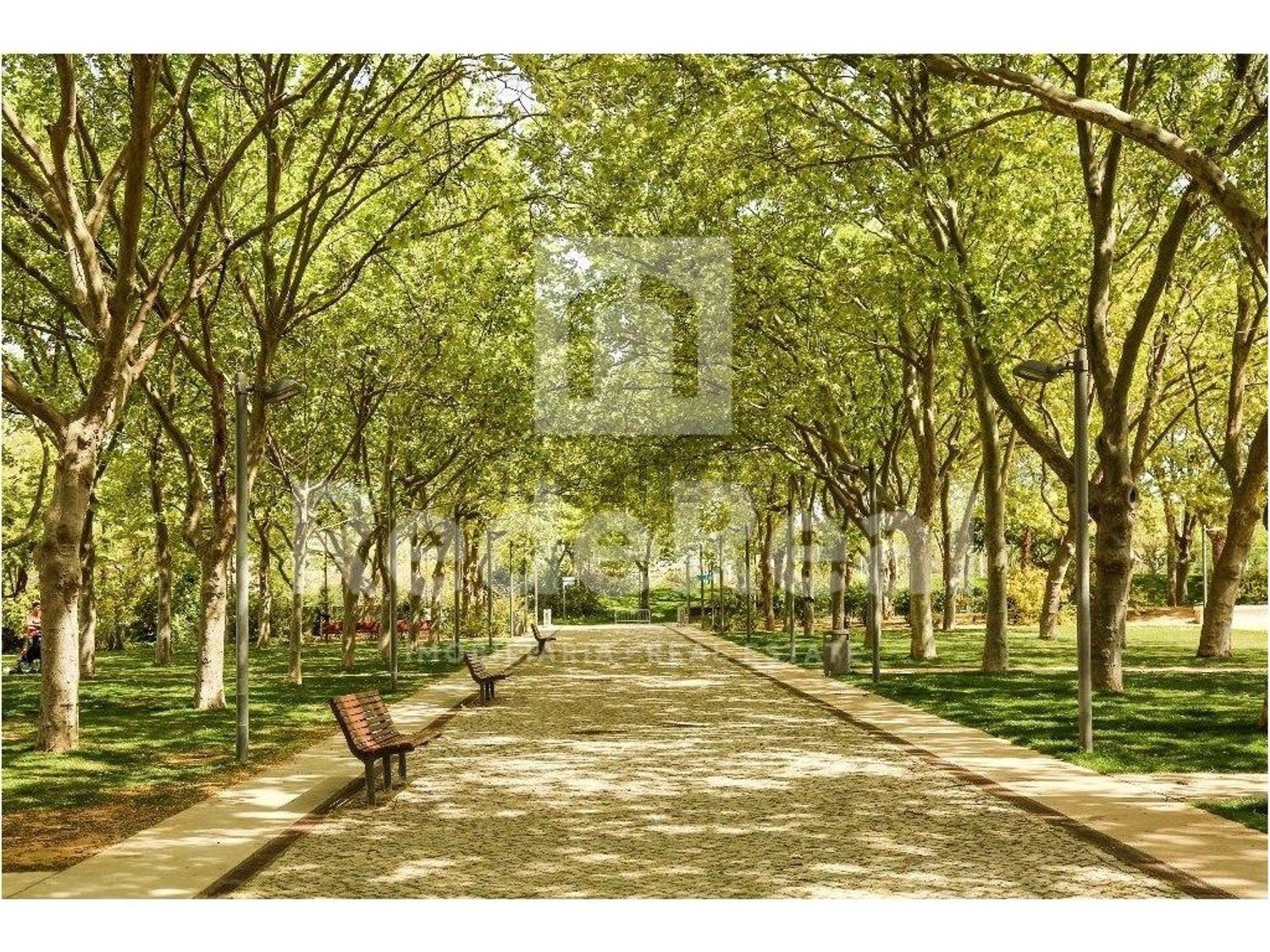 小楼房或独栋别墅出售在Avenida Laginha Serafim - 花园