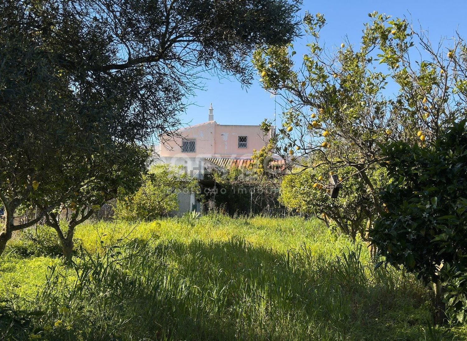 小楼房或独栋别墅出售在Altura - 花园