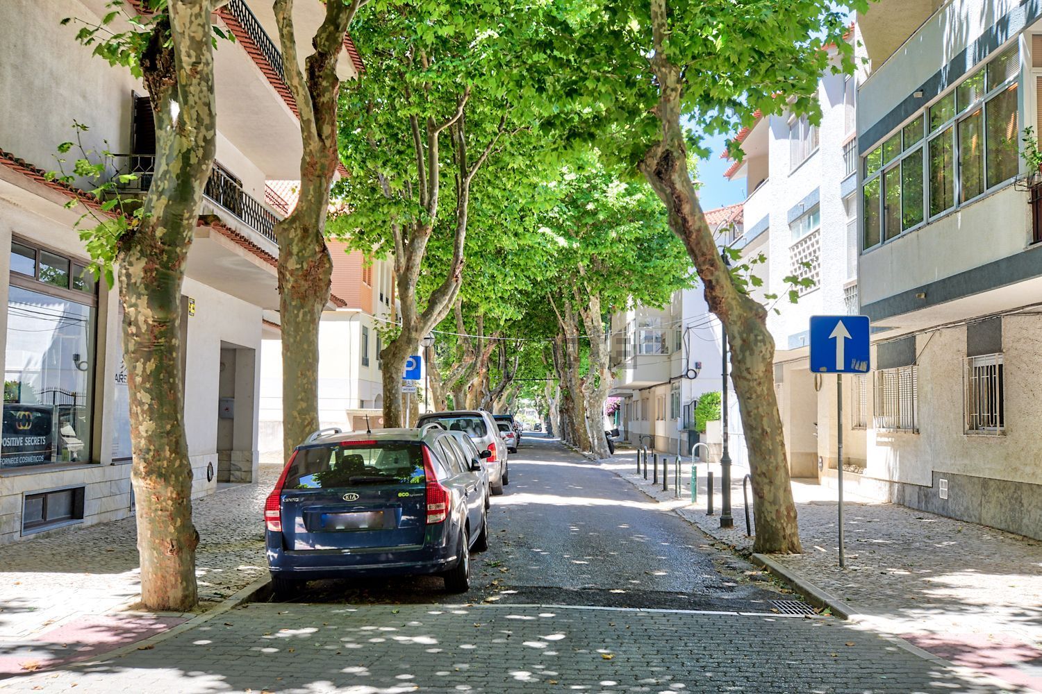 出租公寓 t3在Rua Goncalves Crespo. 42/2Esq - 视线