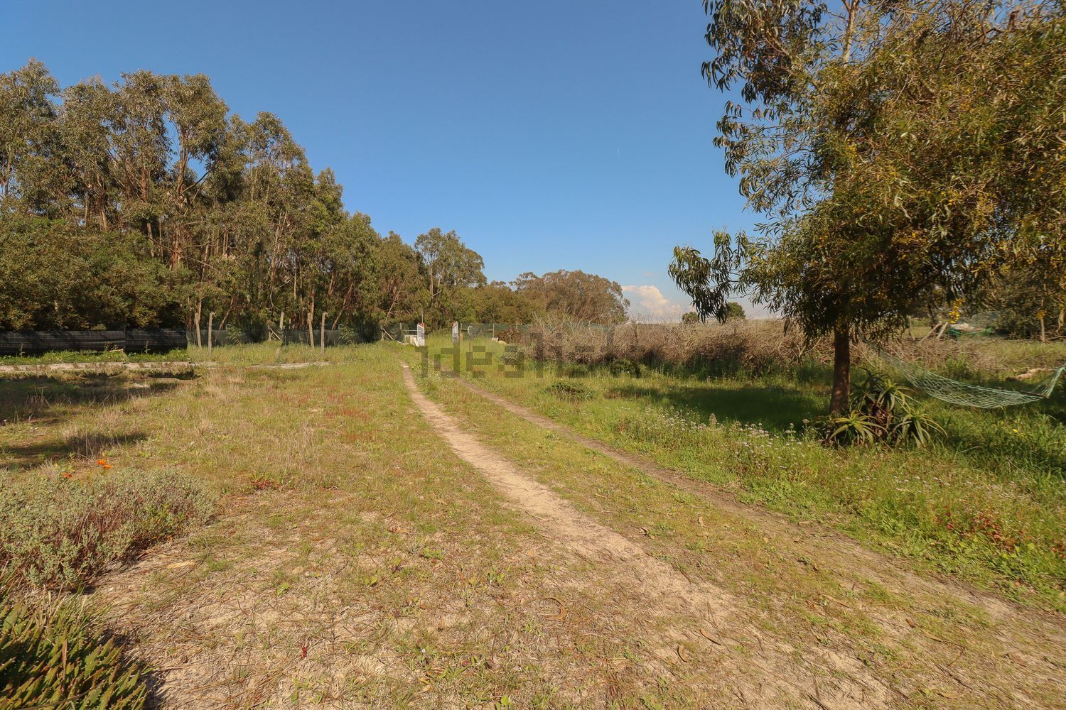 小楼房或独栋别墅出售在Póvoa de Penafirme - Santa Cruz - 花园