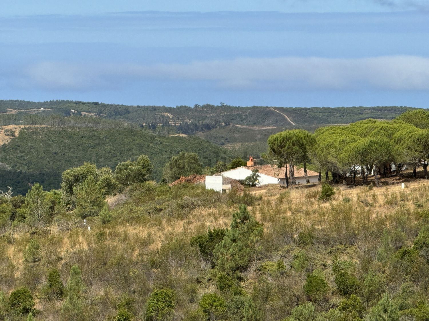 小楼房或别墅出售在Bensafrim e Barão de São João - 视线