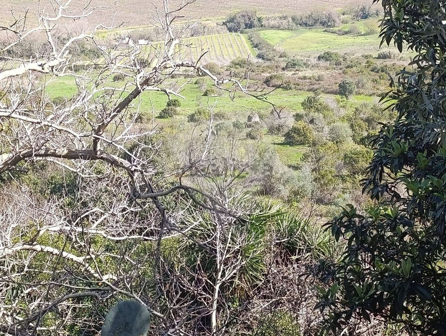 小楼房或独栋别墅出售在Estrada da Quinta da Serra - 视线