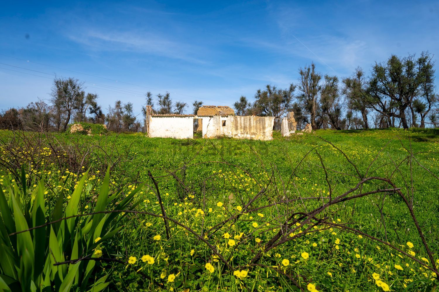 庄园出售Herdade da Boavista s/n - 外立面