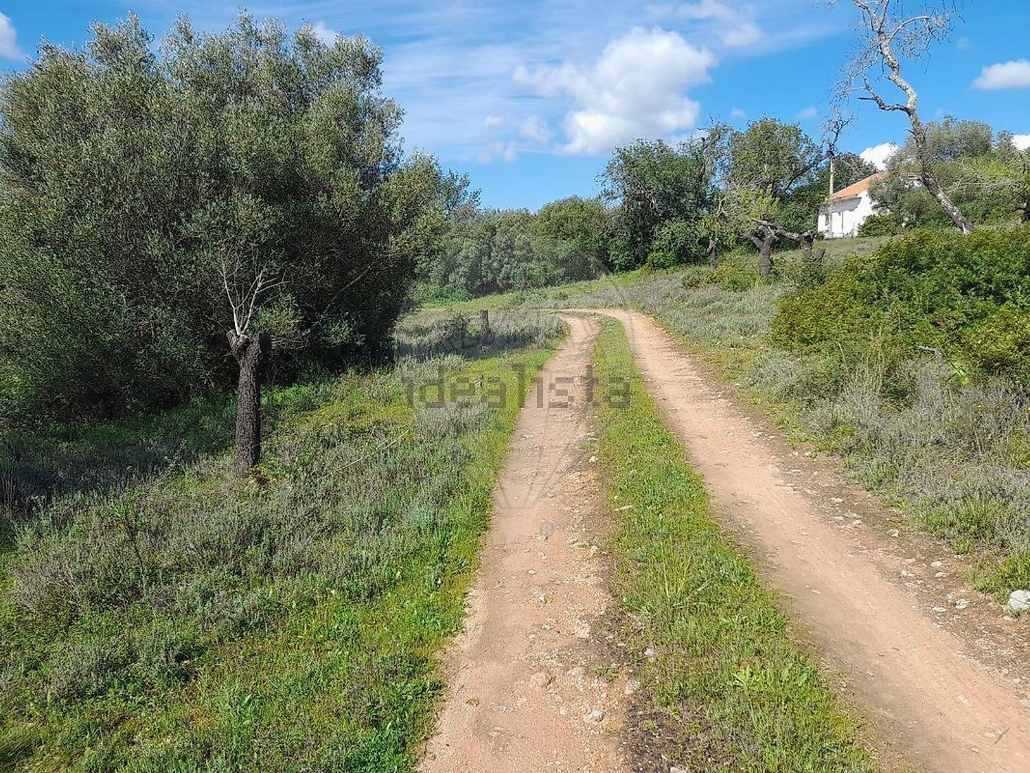 小楼房或独栋别墅出售Messines de Baixo, 8375-046, São Bartolomeu de Messines, Silves, Faro - 花园