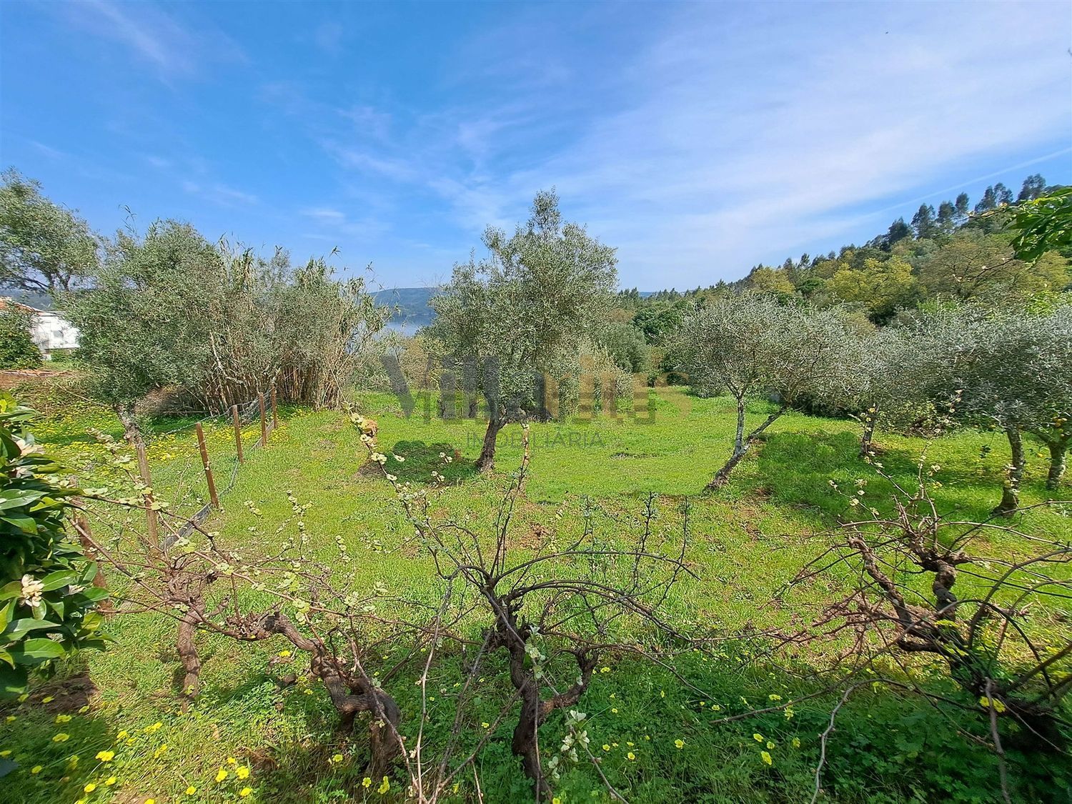 小楼房或独栋别墅出售Em531, 26 - 花园