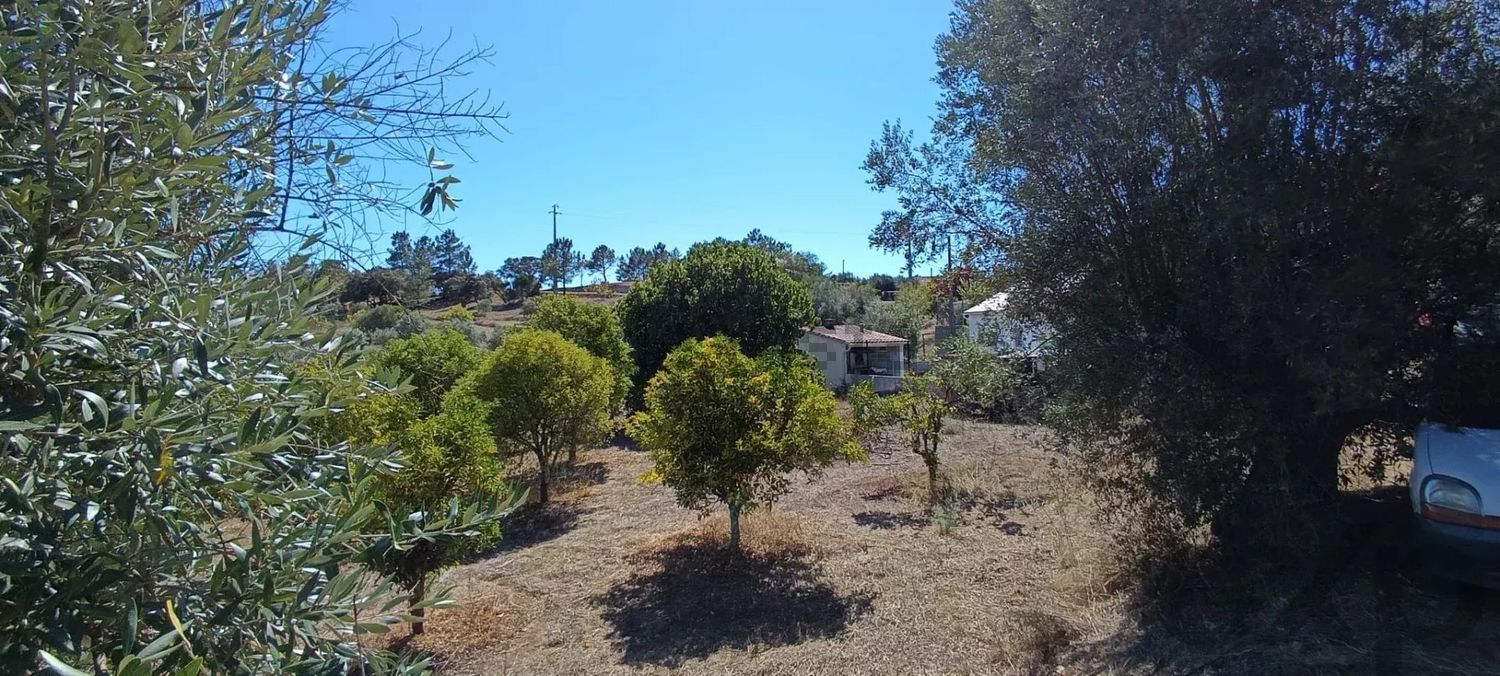 小楼房或独栋别墅出售在Rua da Ponte - 花园