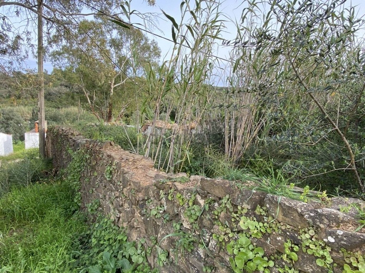 小楼房或独栋别墅出售在Centro de Castro Marim - 花园