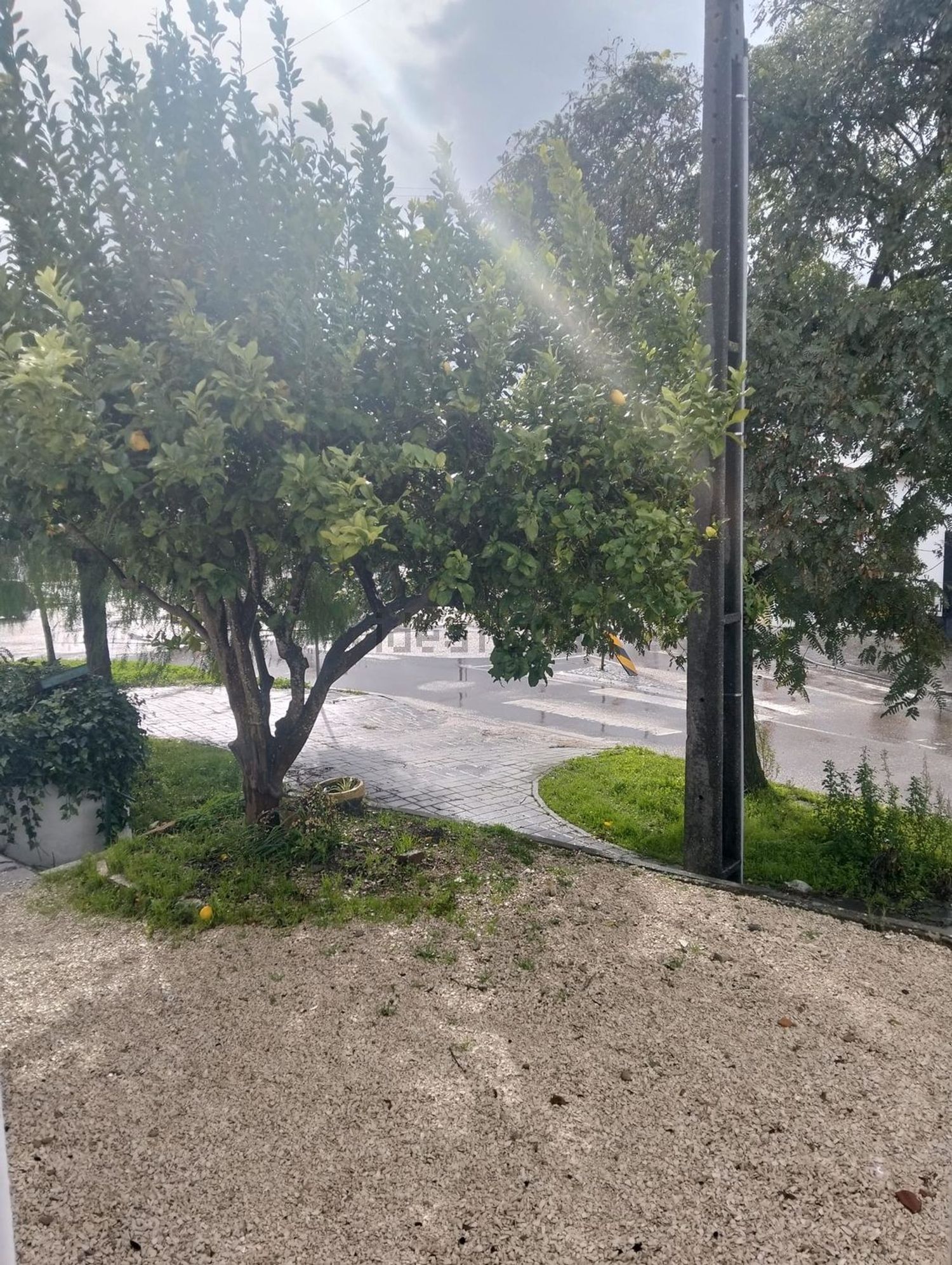 小楼房或独栋别墅出售在Avenida D.Anfoso Henriques, 16 - 花园