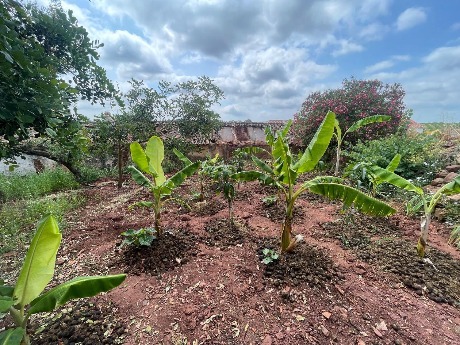 小镇楼房出售在Rua das Escadinhas, 2 - 花园