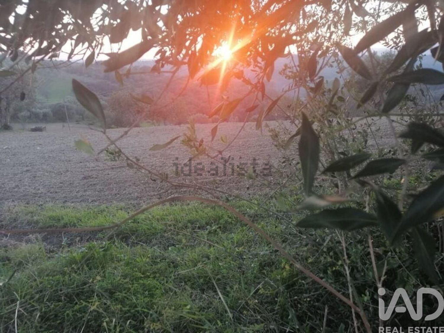 小楼房或独栋别墅出售在São Pedro - Lapas - Ribeira Branca - 视线
