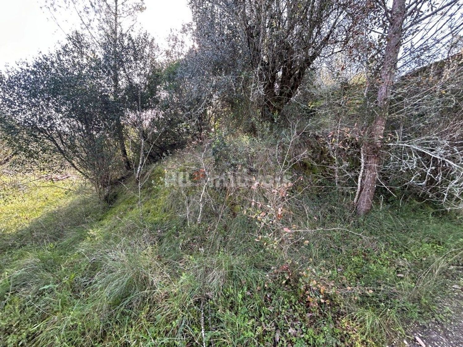 小楼房或独栋别墅出售在Rua Principal da Murteira, 28 - 花园