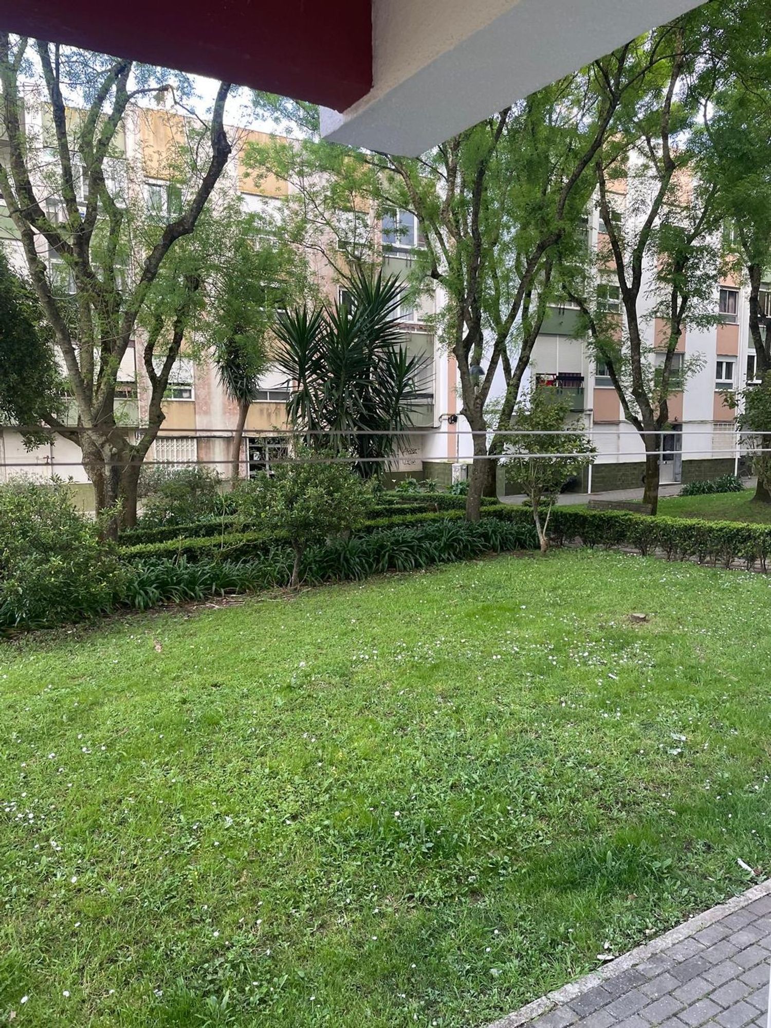 出租公寓 t2Quinta Grande - 花园