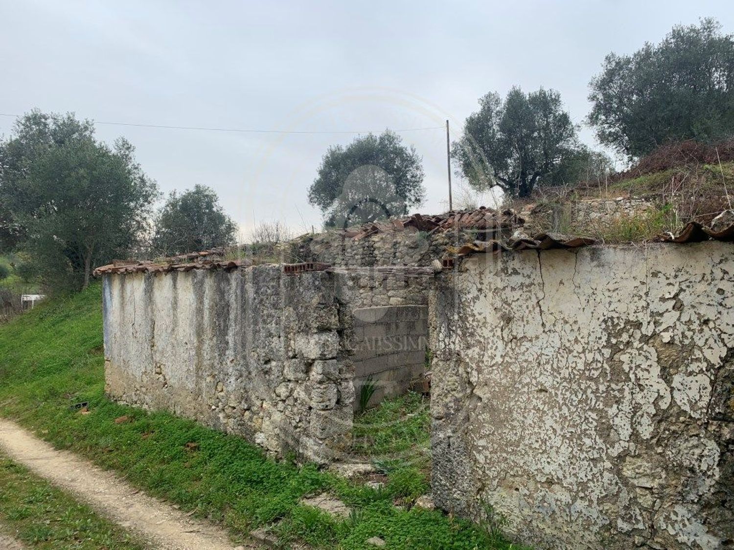 农庄出售在Brogueira - Parceiros de Igreja - Alcorochel - 花园