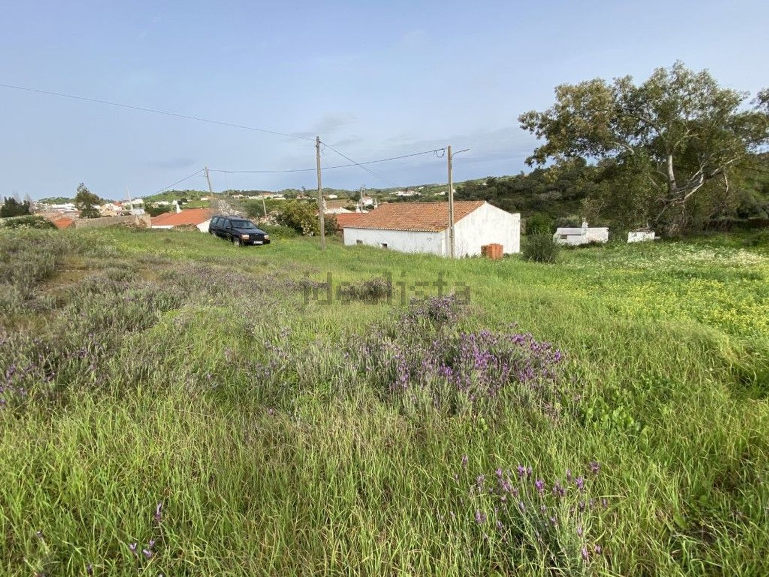 小楼房或独栋别墅出售在Centro de Castro Marim - 花园
