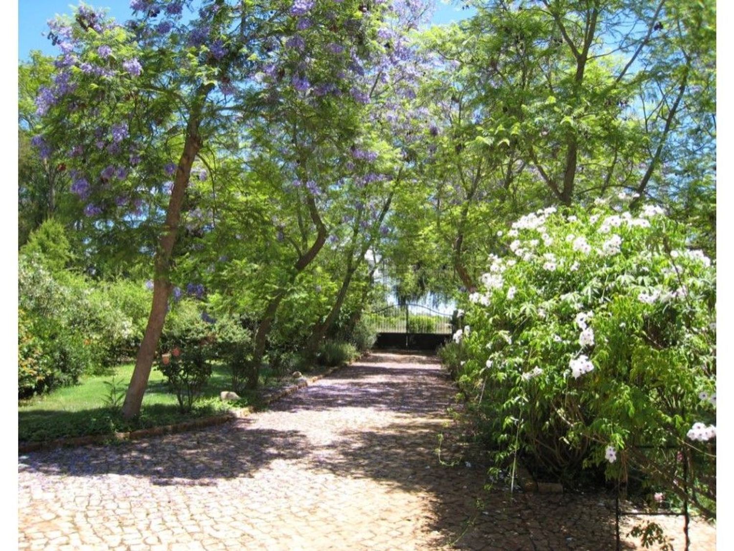 小楼房或独栋别墅出售在Estrada dos Amendoais, 66 - 花园