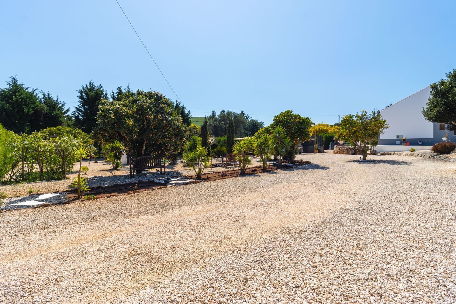 小楼房或独栋别墅出售Quinta Da Terra Nova , Terra das Almas - 花园