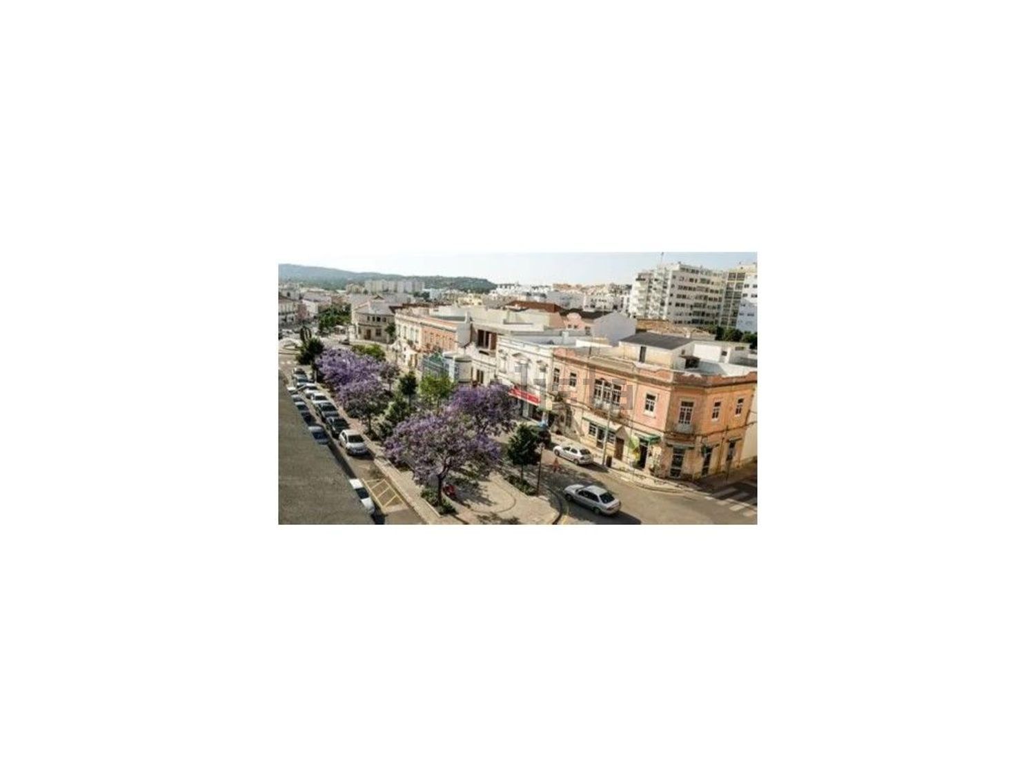 公寓 t3出售在Avenida José da Costa Mealha, 121 - 视线