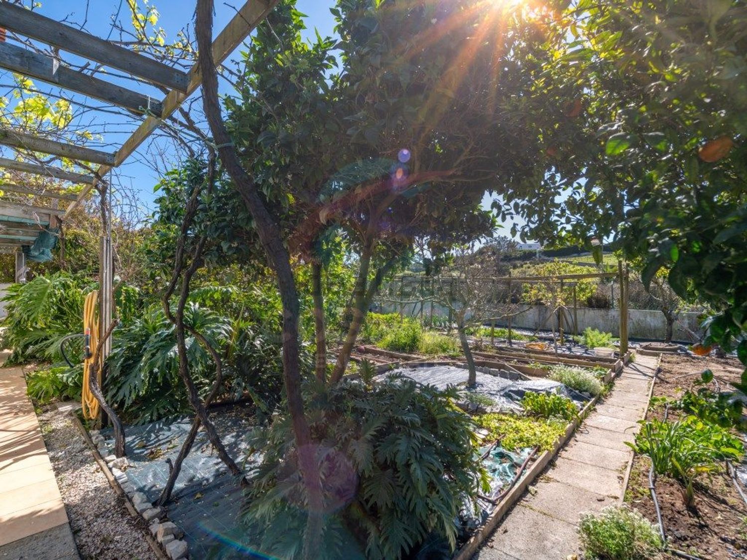 小楼房或独栋别墅出售Urbanização Vale da Telha - 花园